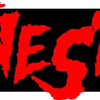 finest11 Thumbnail